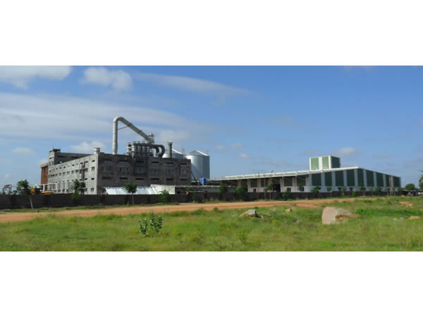 300TPD Corn Starch Turnkey Project
